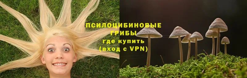 Псилоцибиновые грибы GOLDEN TEACHER Киров